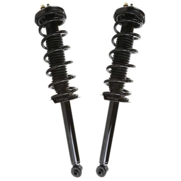 Rear Complete Struts and Coil Springs Set of 2 Driver and Passenger Side