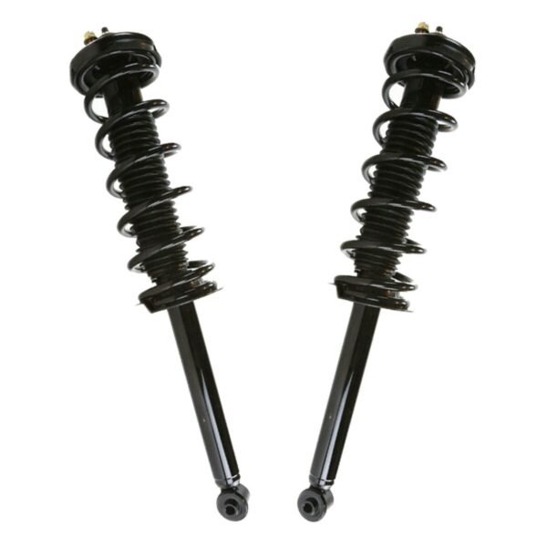 Rear Complete Struts and Coil Springs Set of 2 Driver and Passenger Side