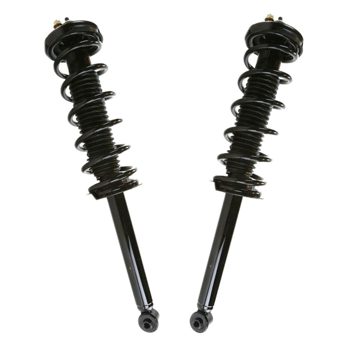 Rear Complete Struts and Coil Springs Set of 2 Driver and Passenger Side