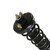 Rear Complete Struts and Coil Springs Set of 2 Driver and Passenger Side - Image 2