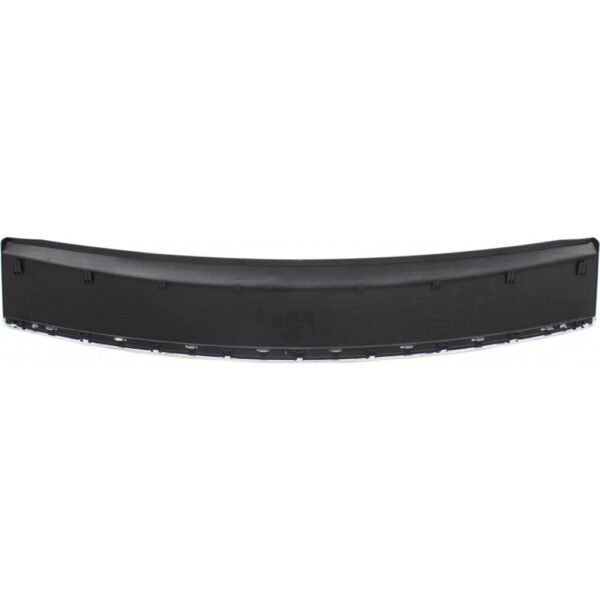 BUMPER STEP PAD RR W/CHROME STRIP - Image 4
