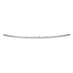 BUMPER MOULDING RR CENTER CHROME