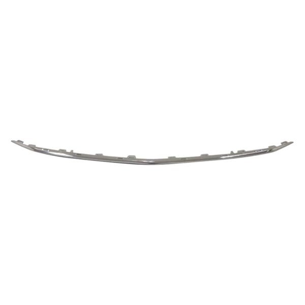 BUMPER MOLDING FR LOWER CENTER CHROME W/AMG